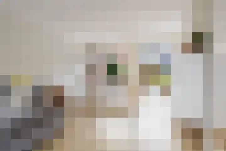 Menning 17 Oudehaske thumbnail 14