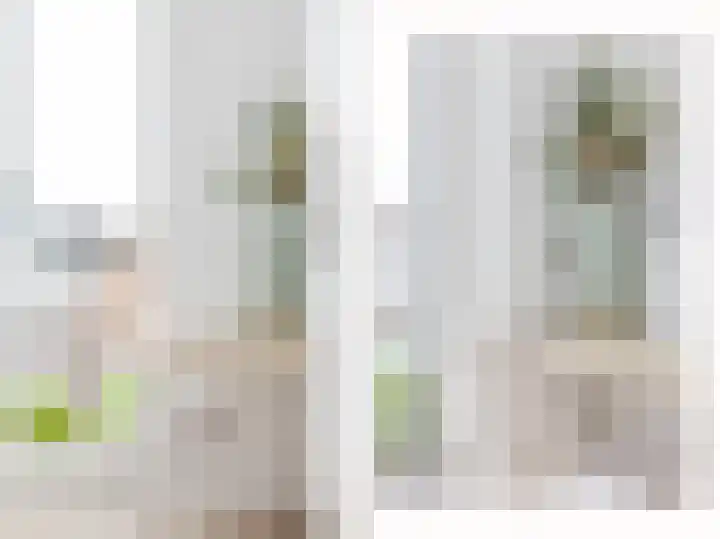 Menning 17 Oudehaske thumbnail 24