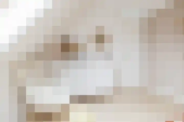 Menning 17 Oudehaske thumbnail 30