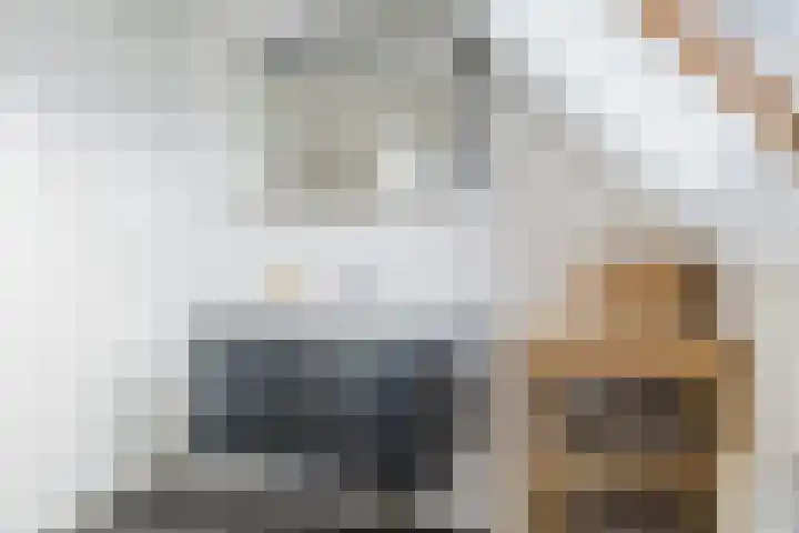 Menning 17 Oudehaske thumbnail 32