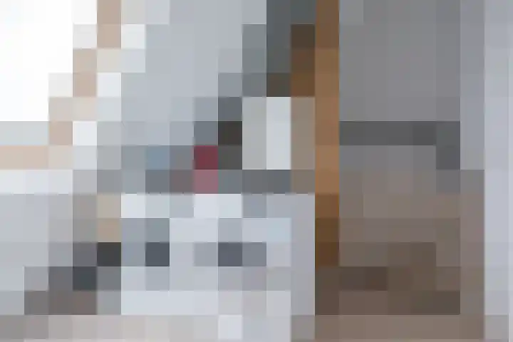 Menning 17 Oudehaske thumbnail 37