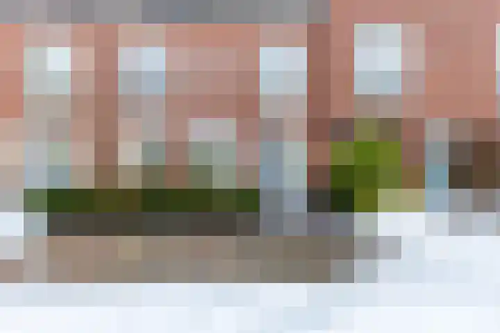 Menning 17 Oudehaske thumbnail 8