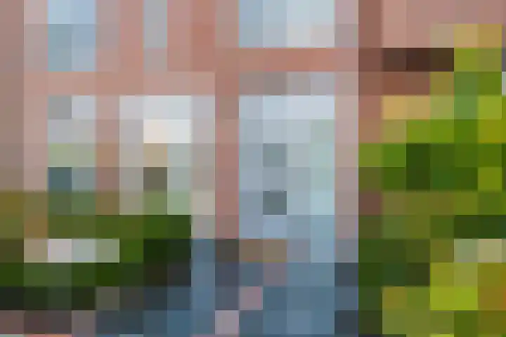 Menning 17 Oudehaske thumbnail 9