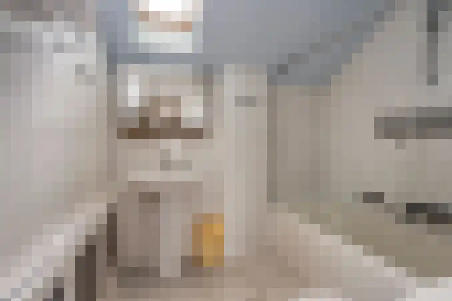 Menninge 1 Oosterwolde thumbnail 23