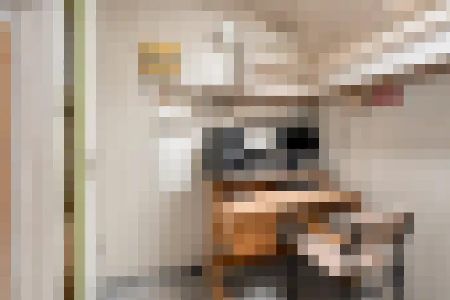 Menninge 1 Oosterwolde thumbnail 28