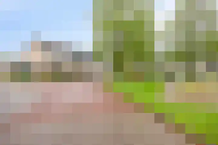 Menninge 108 Oosterwolde thumbnail 11