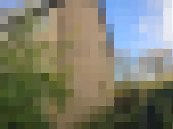 Menninge 108 Oosterwolde thumbnail 5