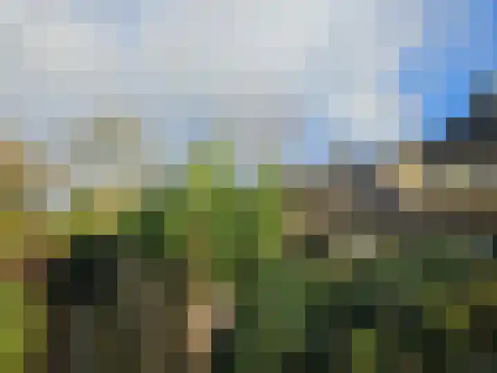 Menninge 108 Oosterwolde thumbnail 7