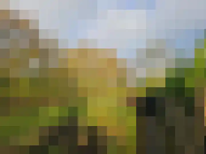 Menninge 108 Oosterwolde thumbnail 8