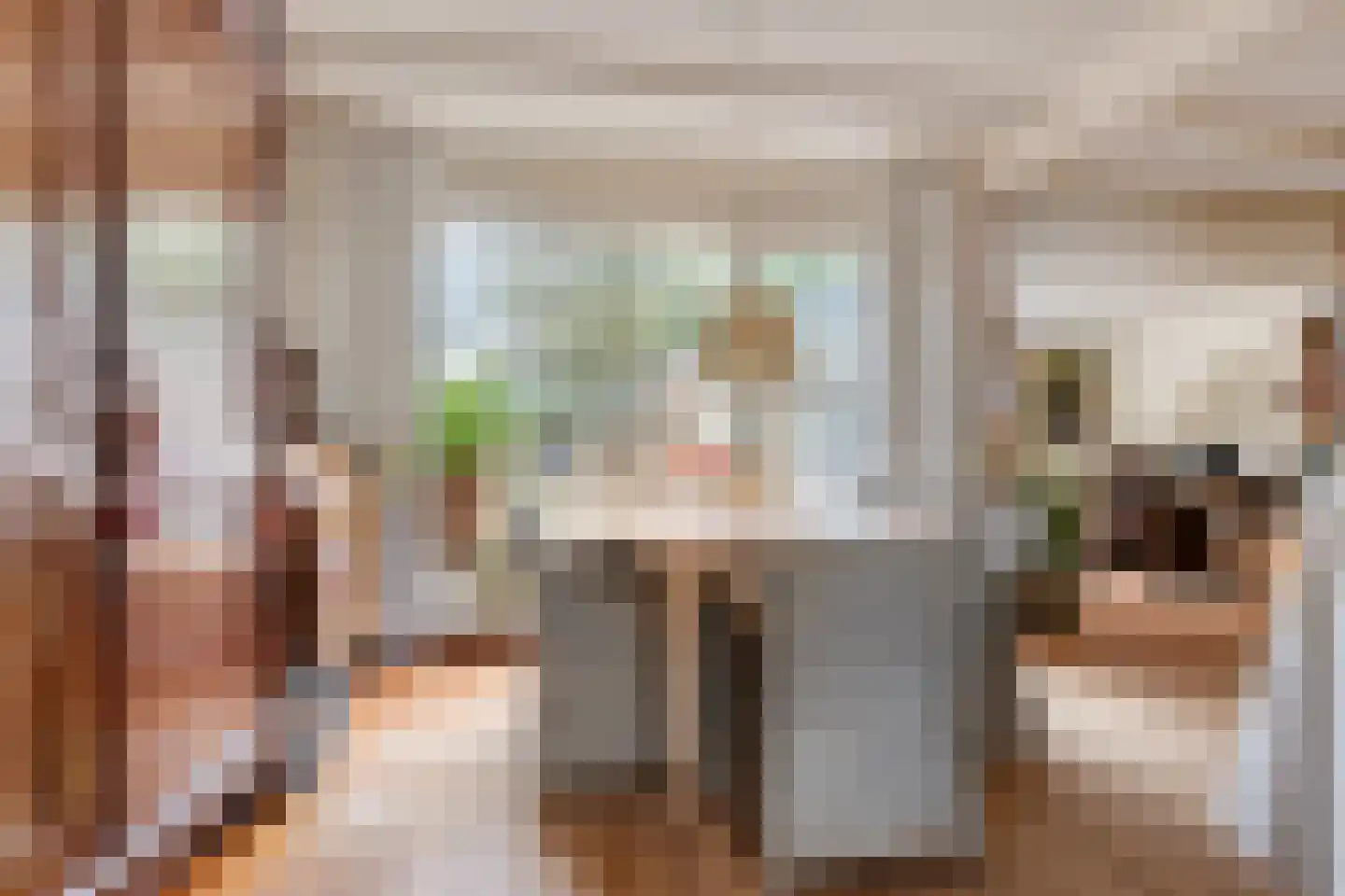 Menninge 22 Oosterwolde thumbnail 13