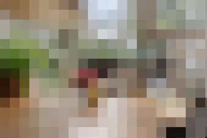 Menninge 22 Oosterwolde thumbnail 14