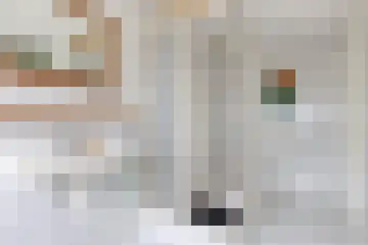 Menninge 22 Oosterwolde thumbnail 26