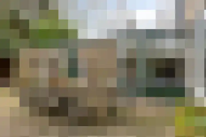Menninge 22 Oosterwolde thumbnail 37