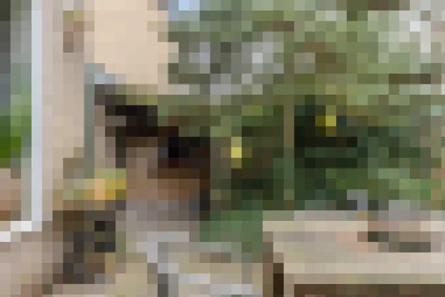 Menninge 22 Oosterwolde thumbnail 38