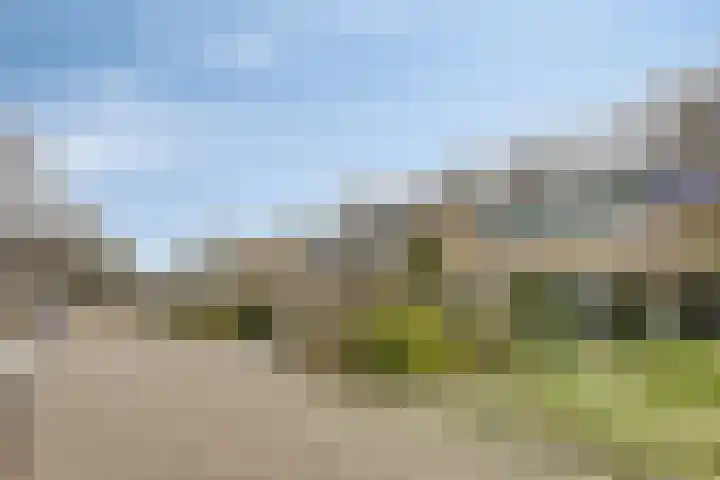 Menninge 22 Oosterwolde thumbnail 4