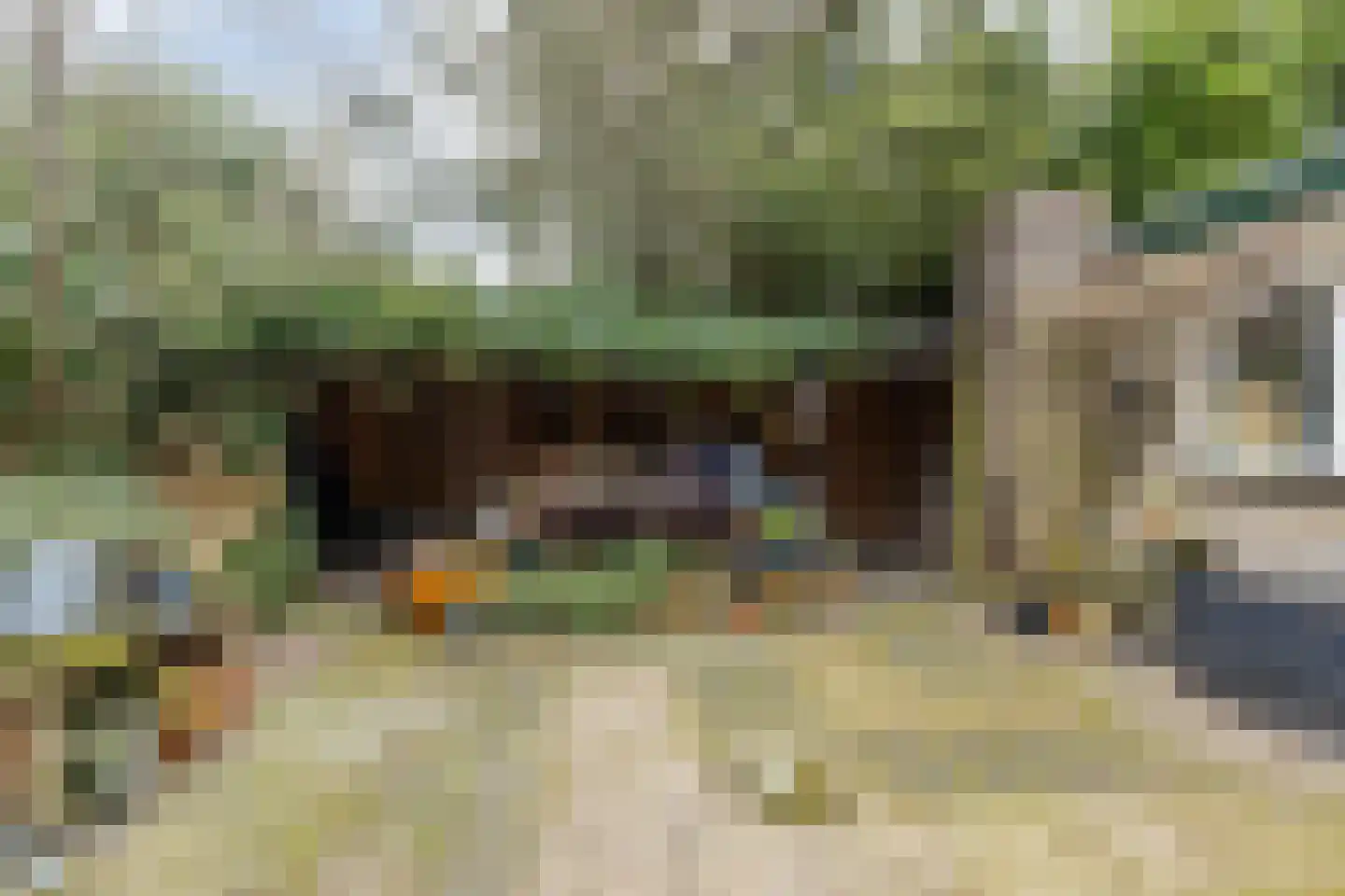 Menninge 22 Oosterwolde thumbnail 40