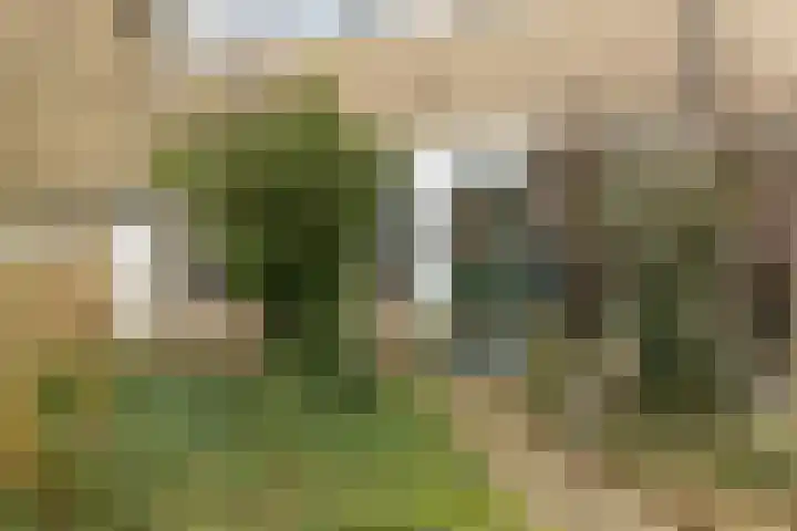 Menninge 22 Oosterwolde thumbnail 5
