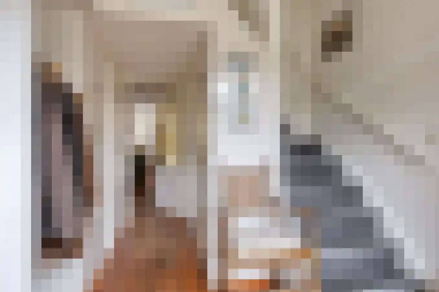 Menninge 22 Oosterwolde thumbnail 7