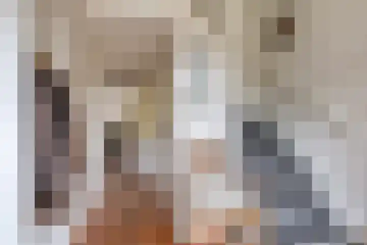 Menninge 22 Oosterwolde thumbnail 7