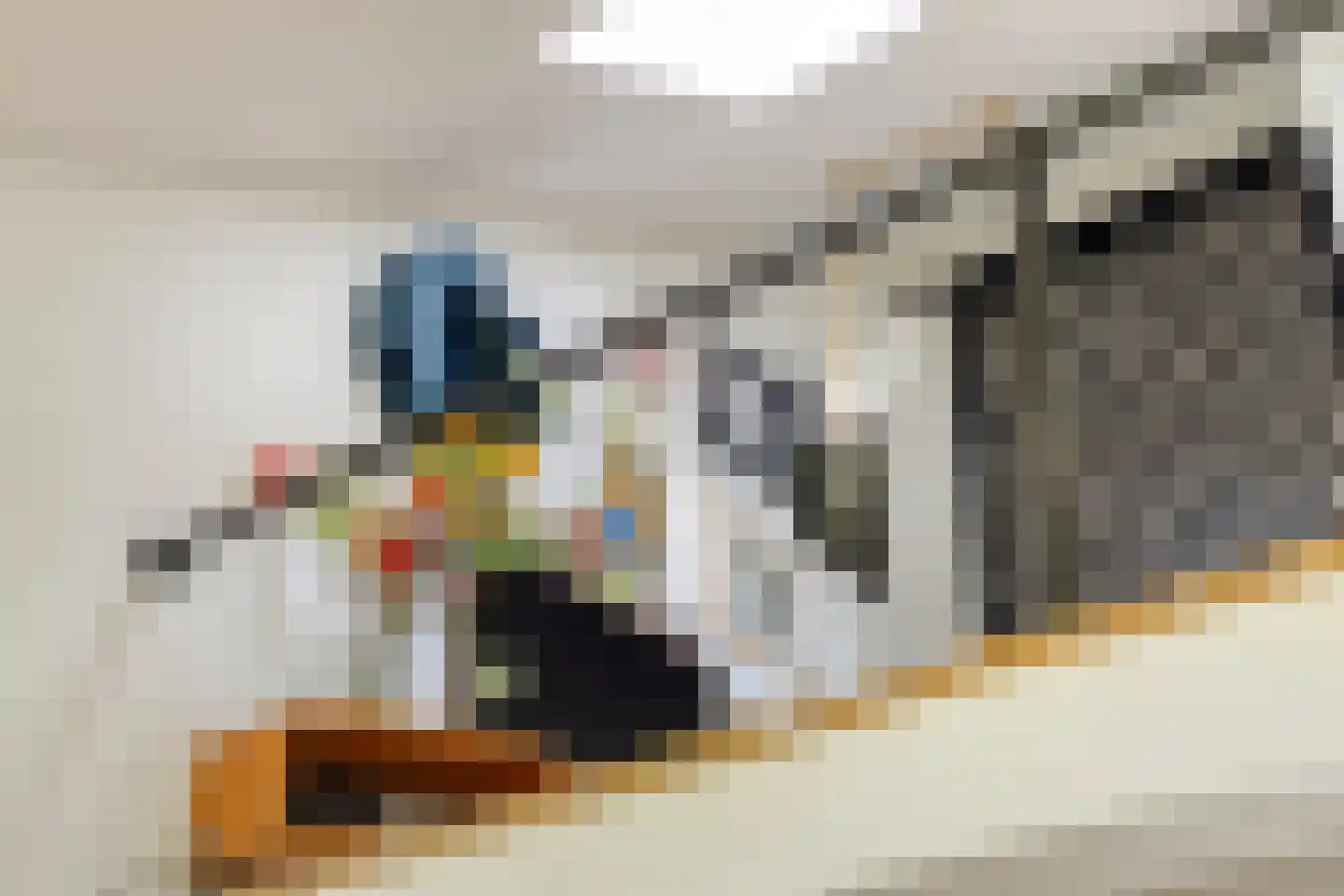 Menninge 3 Oosterwolde thumbnail 19