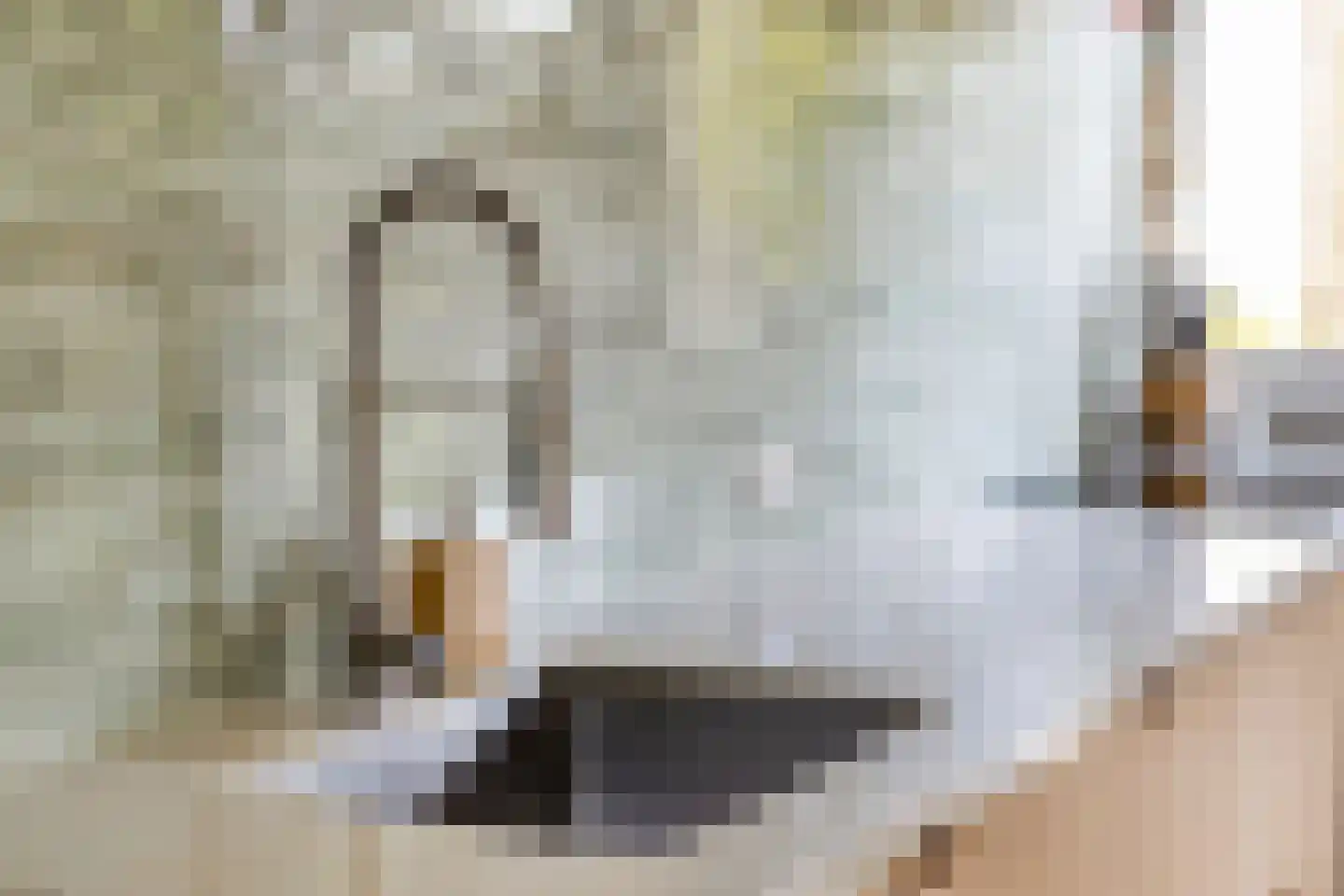 Menninge 3 Oosterwolde thumbnail 25