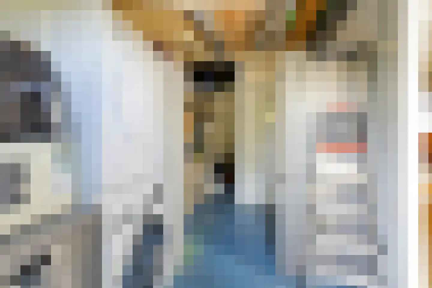 Menninge 3 Oosterwolde thumbnail 34
