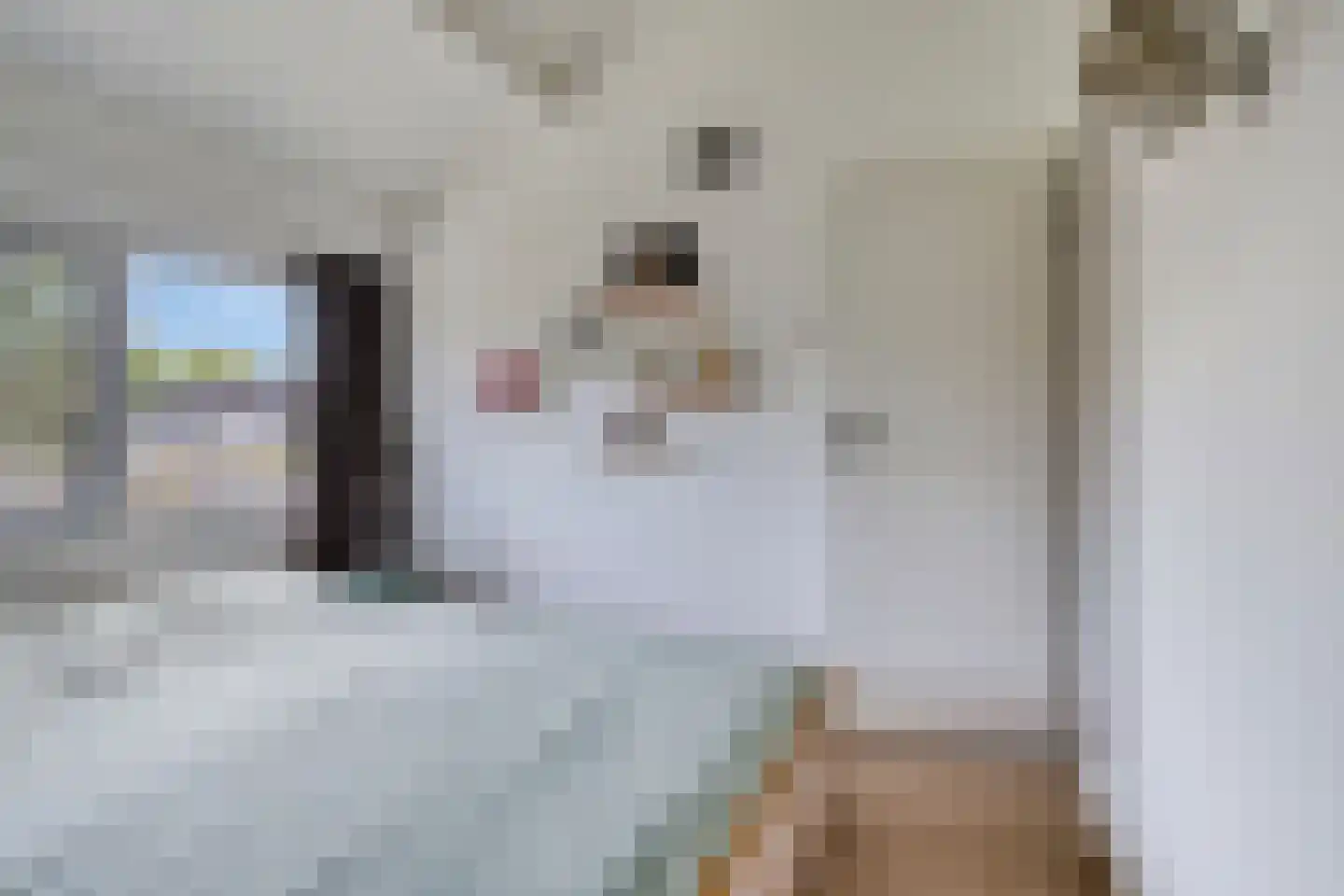 Menninge 3 Oosterwolde thumbnail 38