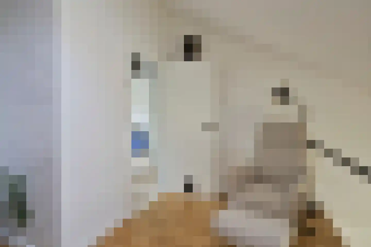 Menninge 3 Oosterwolde thumbnail 40