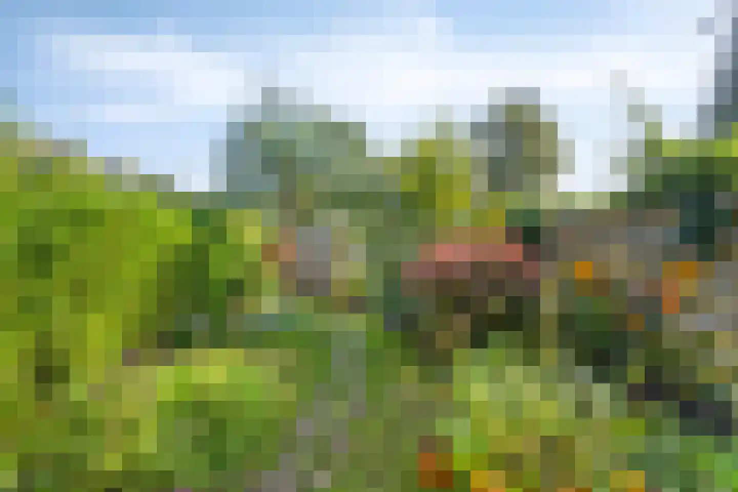 Menninge 3 Oosterwolde thumbnail 44