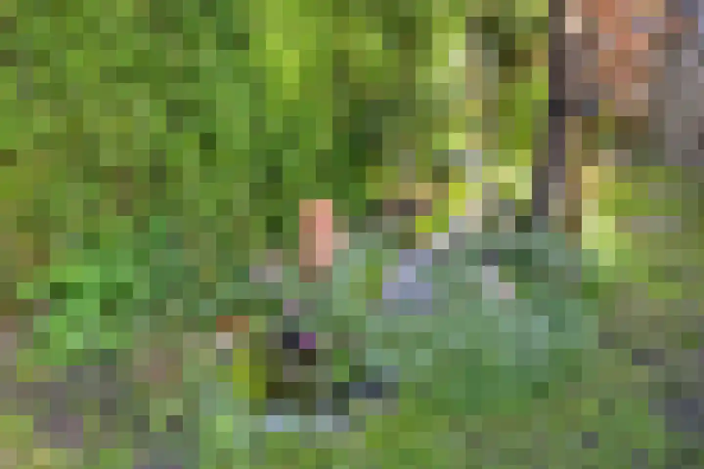 Menninge 3 Oosterwolde thumbnail 46