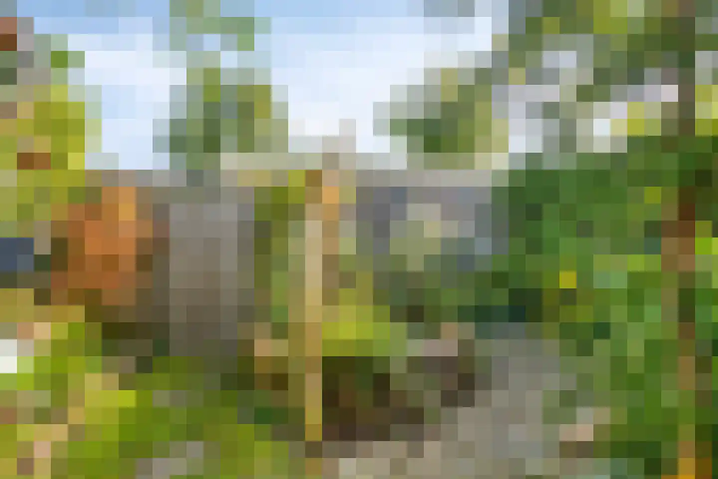 Menninge 3 Oosterwolde thumbnail 48