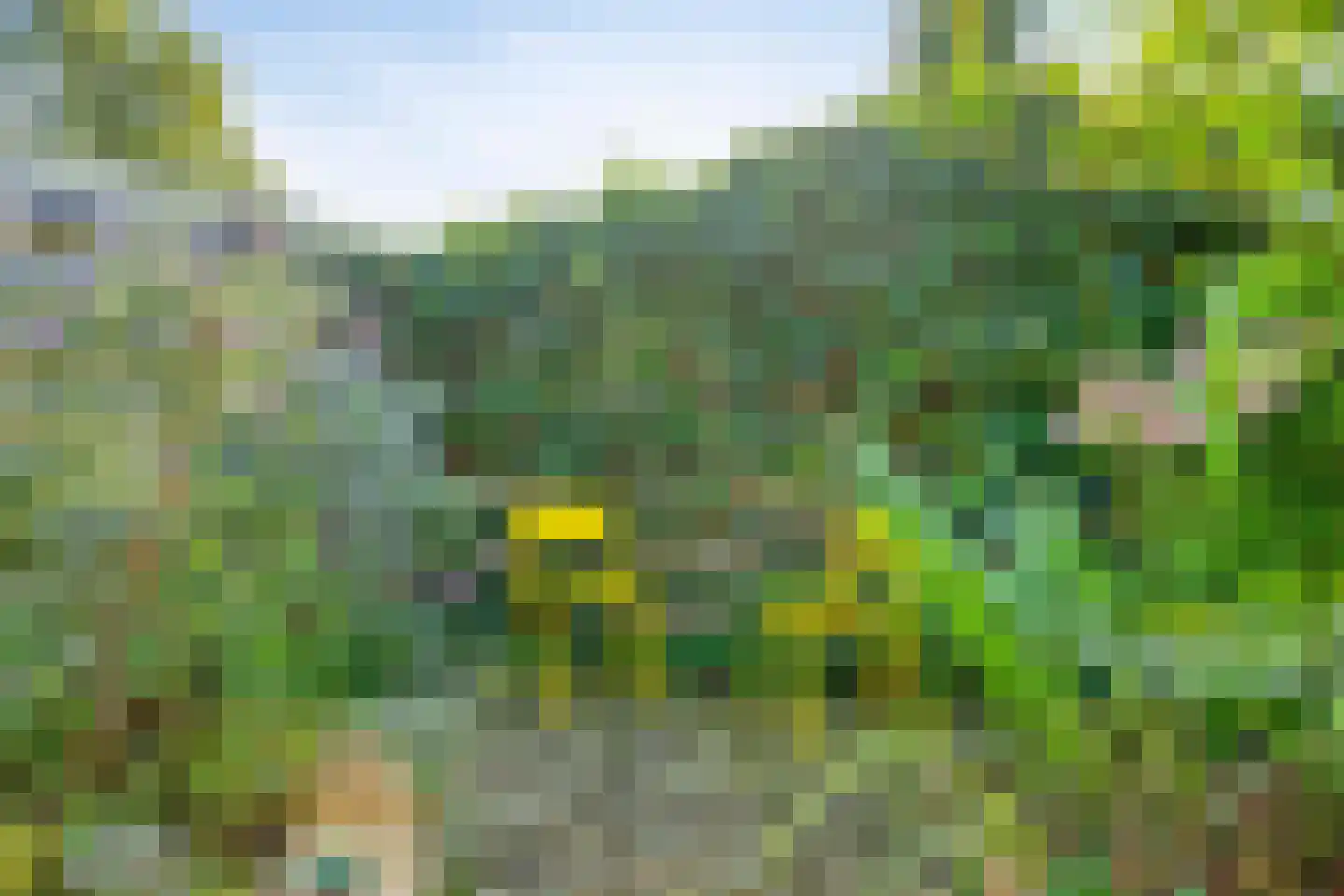 Menninge 3 Oosterwolde thumbnail 49