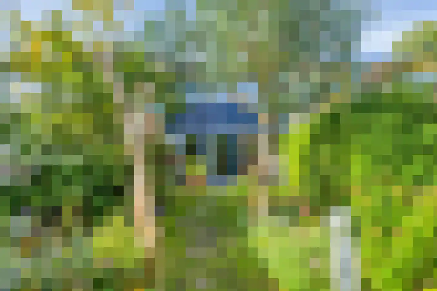 Menninge 3 Oosterwolde thumbnail 51