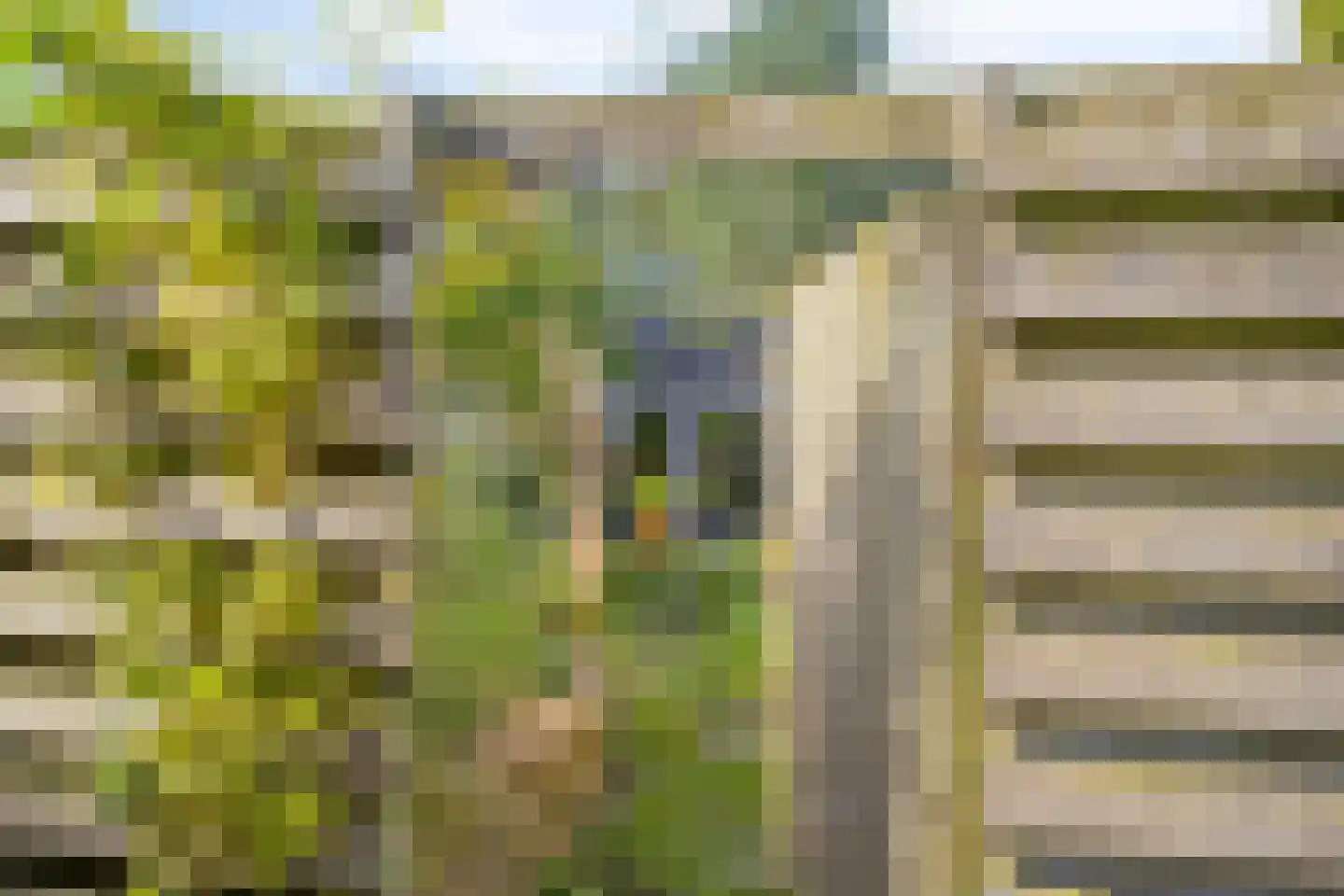 Menninge 3 Oosterwolde thumbnail 52