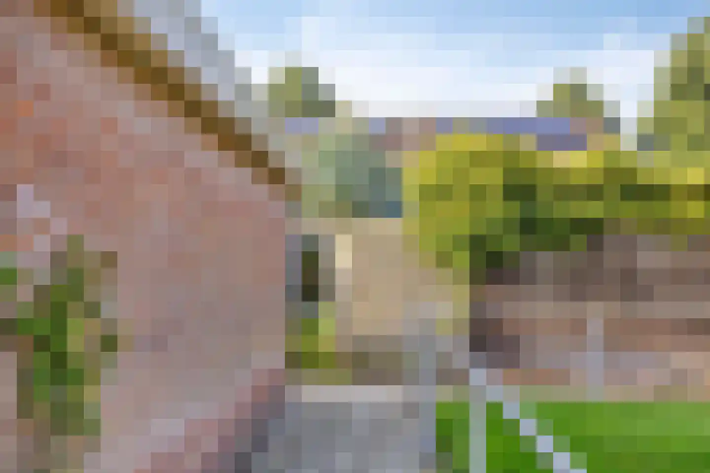 Menninge 3 Oosterwolde thumbnail 53