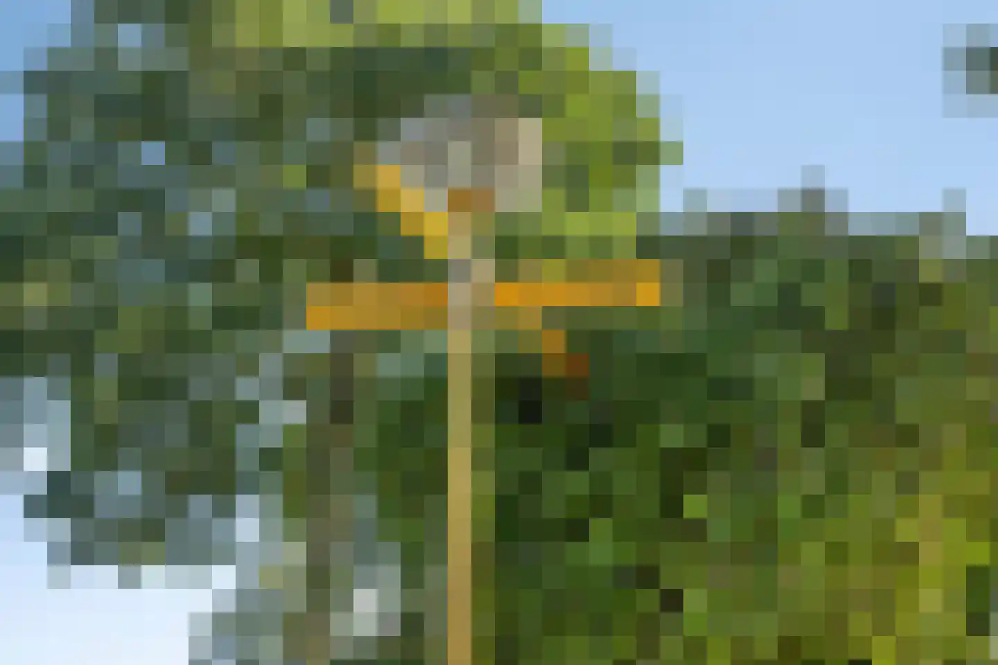 Menninge 3 Oosterwolde thumbnail 56
