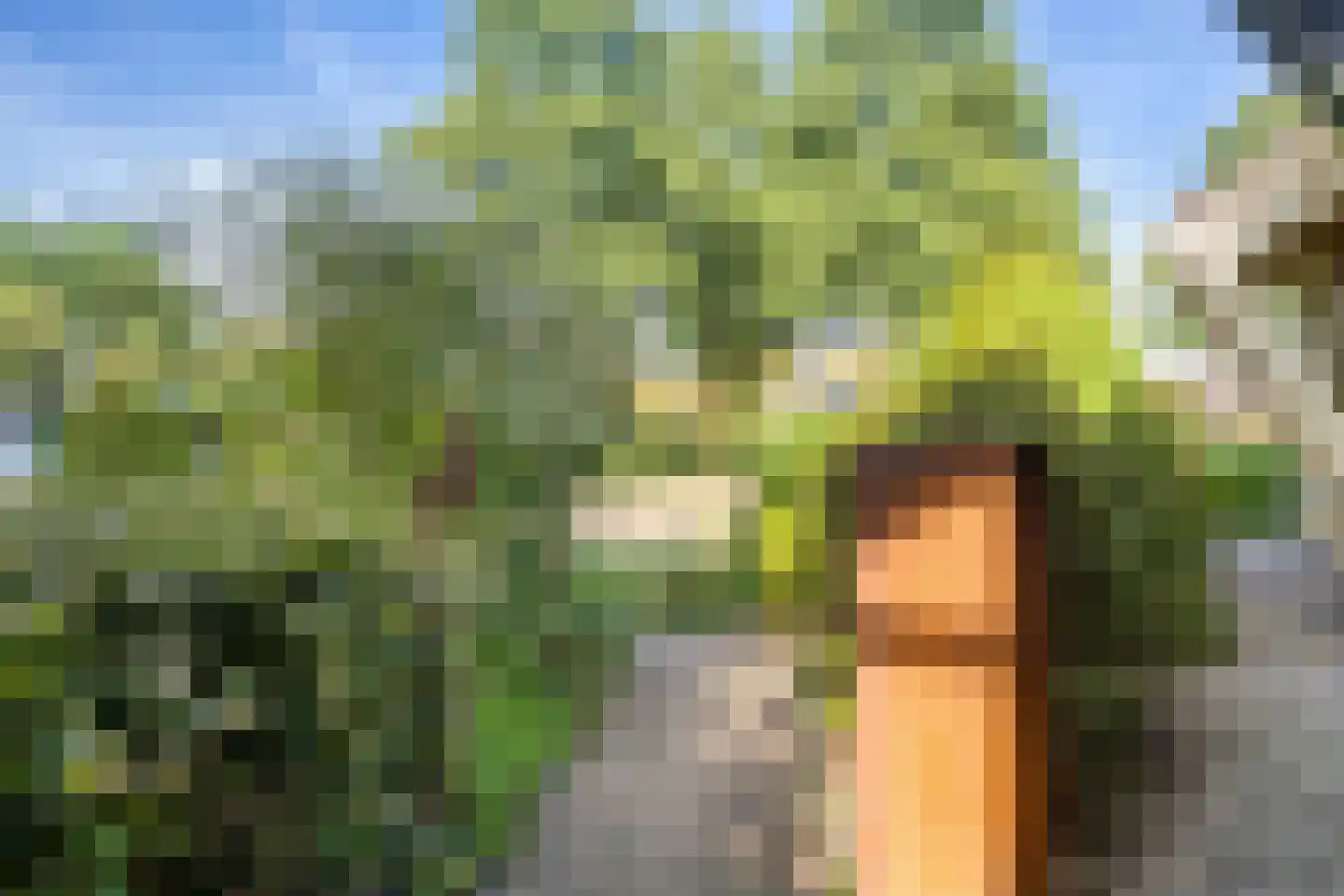 Menninge 3 Oosterwolde thumbnail 58