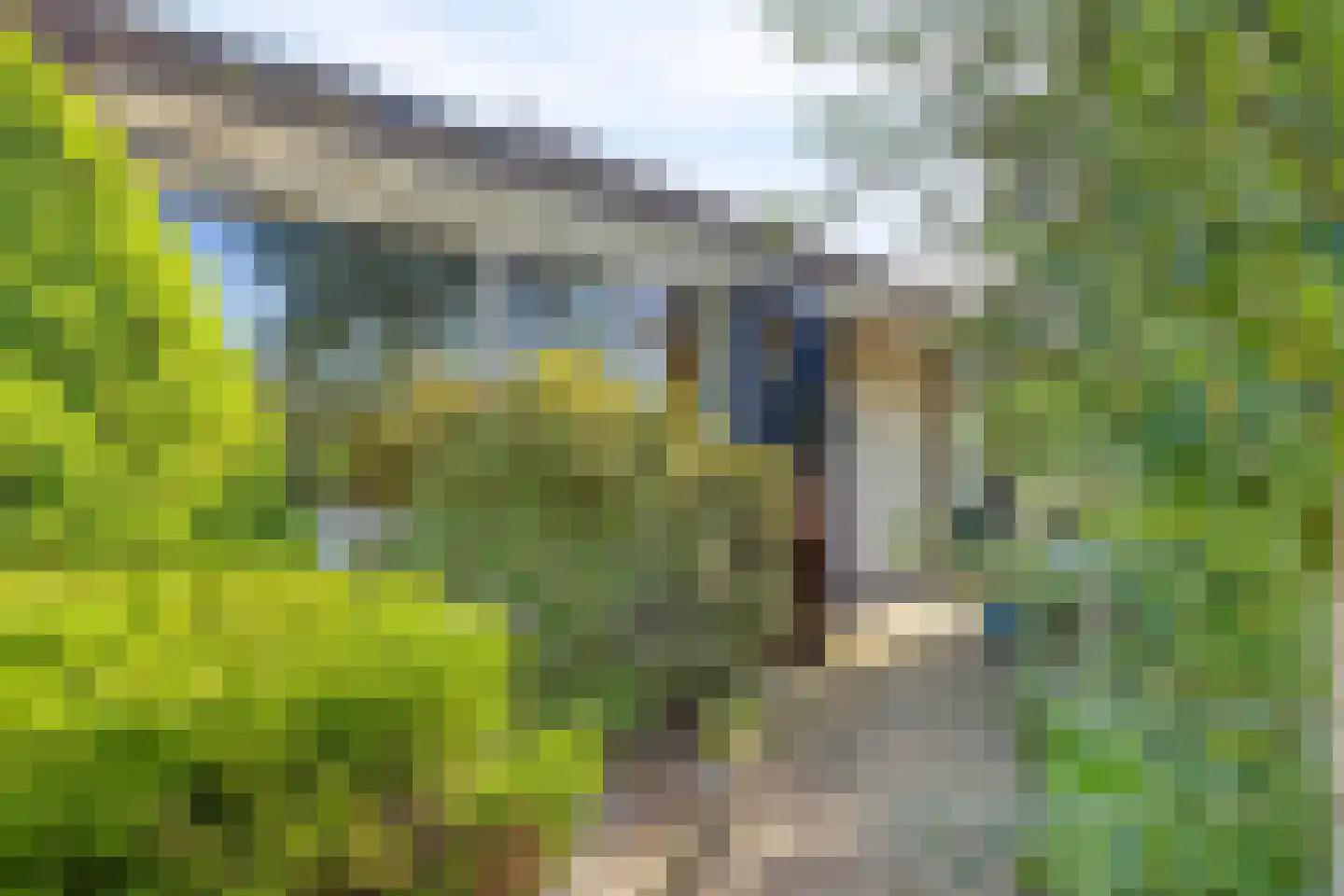 Menninge 3 Oosterwolde thumbnail 8
