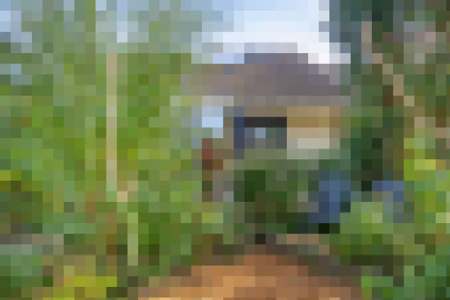 Menninge 3 Oosterwolde thumbnail 9