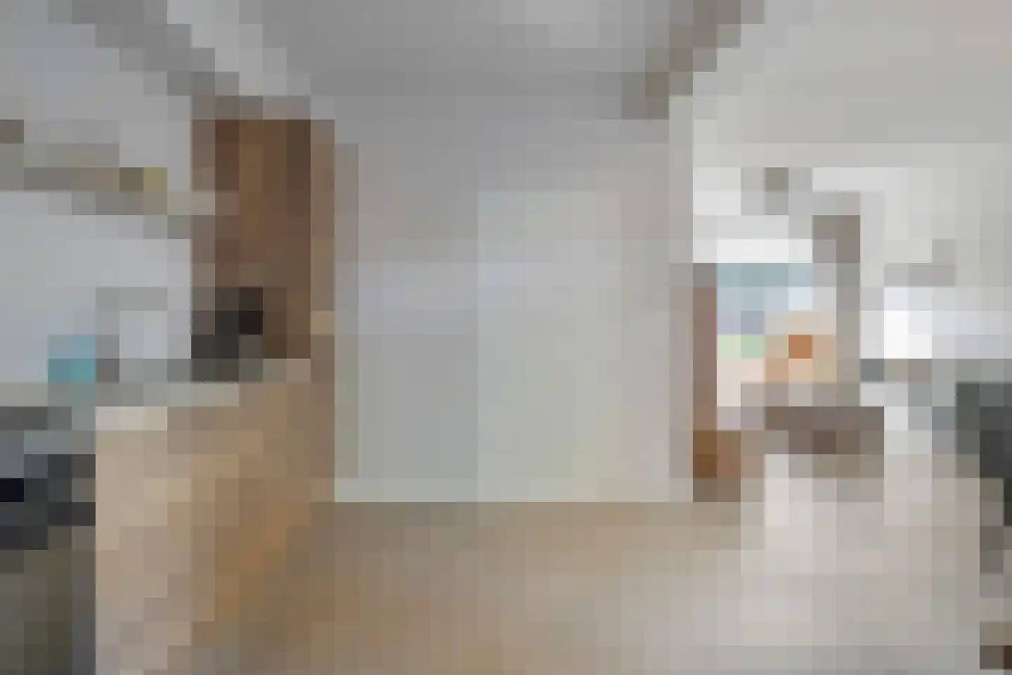 Menninge 30 Oosterwolde thumbnail 14