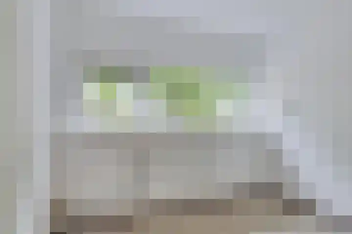 Menninge 30 Oosterwolde thumbnail 17