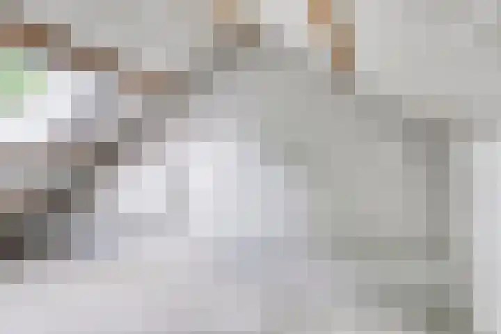 Menninge 30 Oosterwolde thumbnail 20