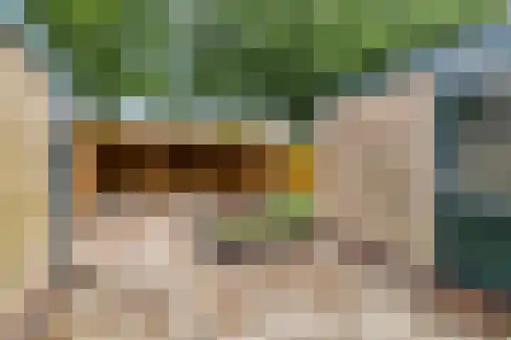 Menninge 30 Oosterwolde thumbnail 24