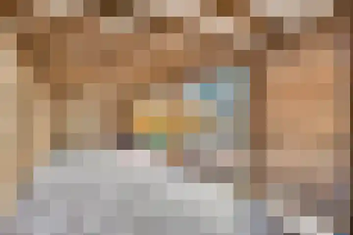 Menninge 30 Oosterwolde thumbnail 25