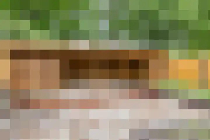 Menninge 30 Oosterwolde thumbnail 26