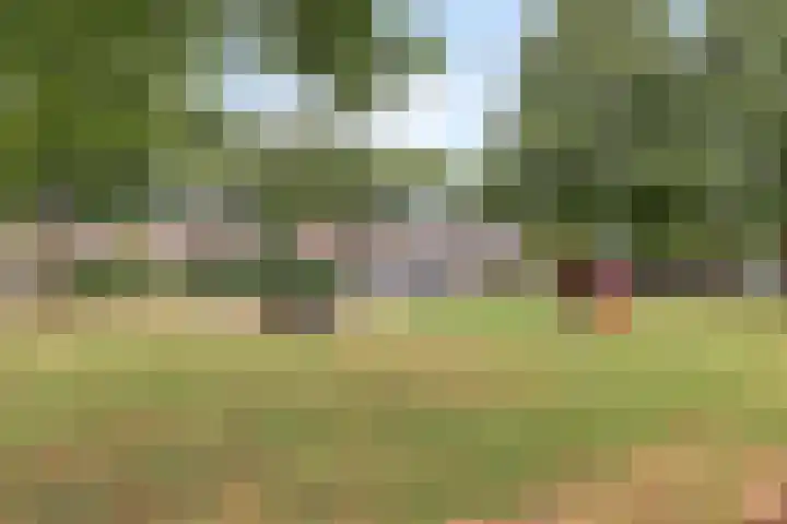 Menninge 30 Oosterwolde thumbnail 27