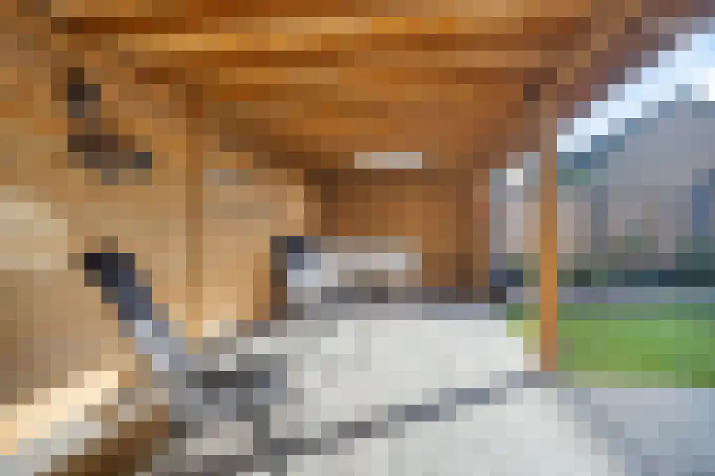 Menninge 30 Oosterwolde thumbnail 45