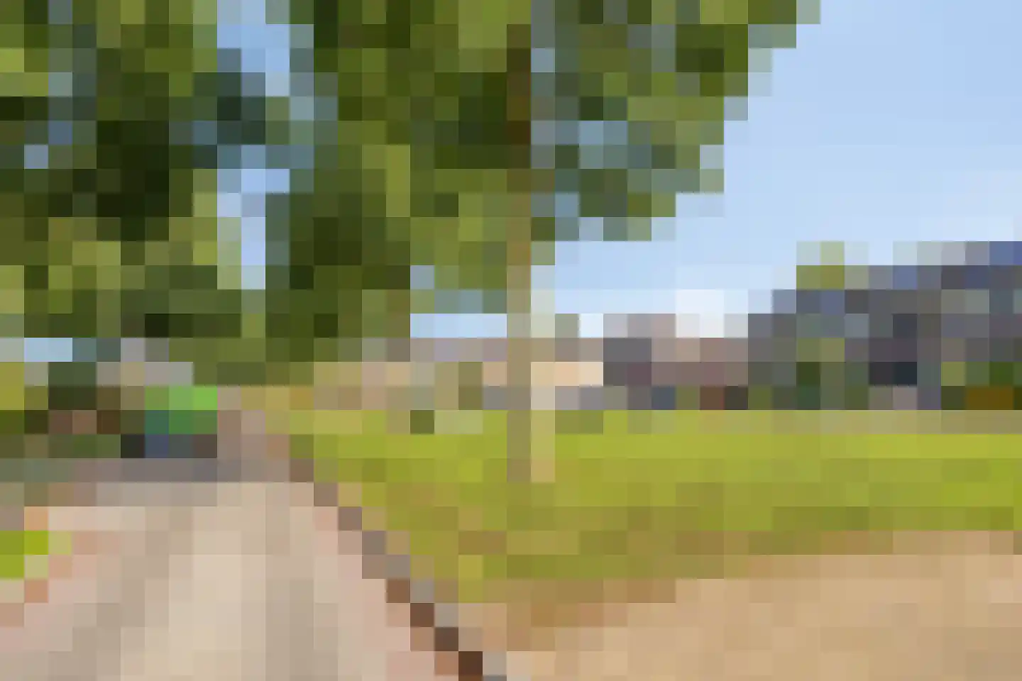Menninge 30 Oosterwolde thumbnail 58