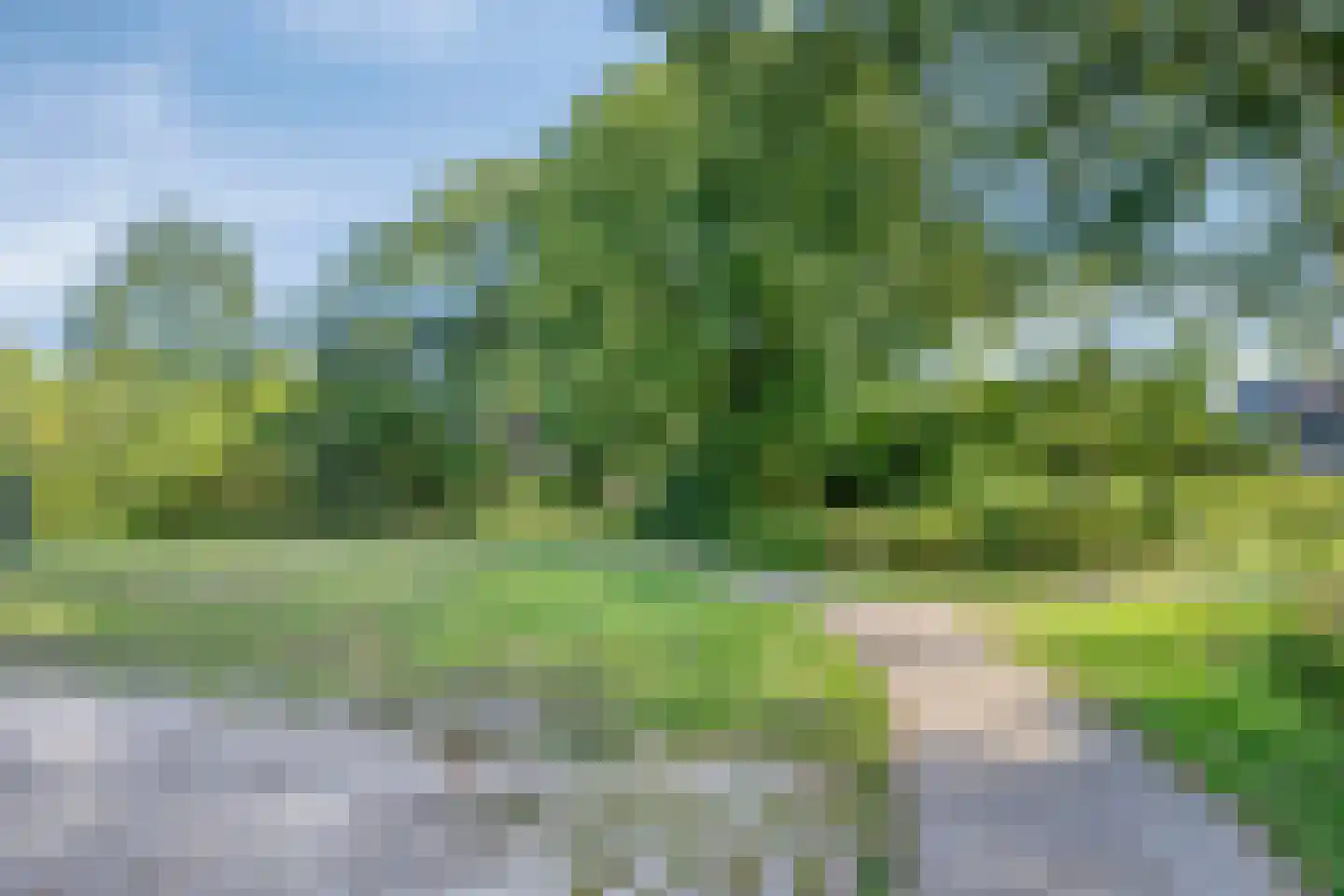 Menninge 30 Oosterwolde thumbnail 59