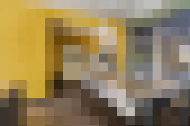 Menninge 36 Oosterwolde thumbnail 11